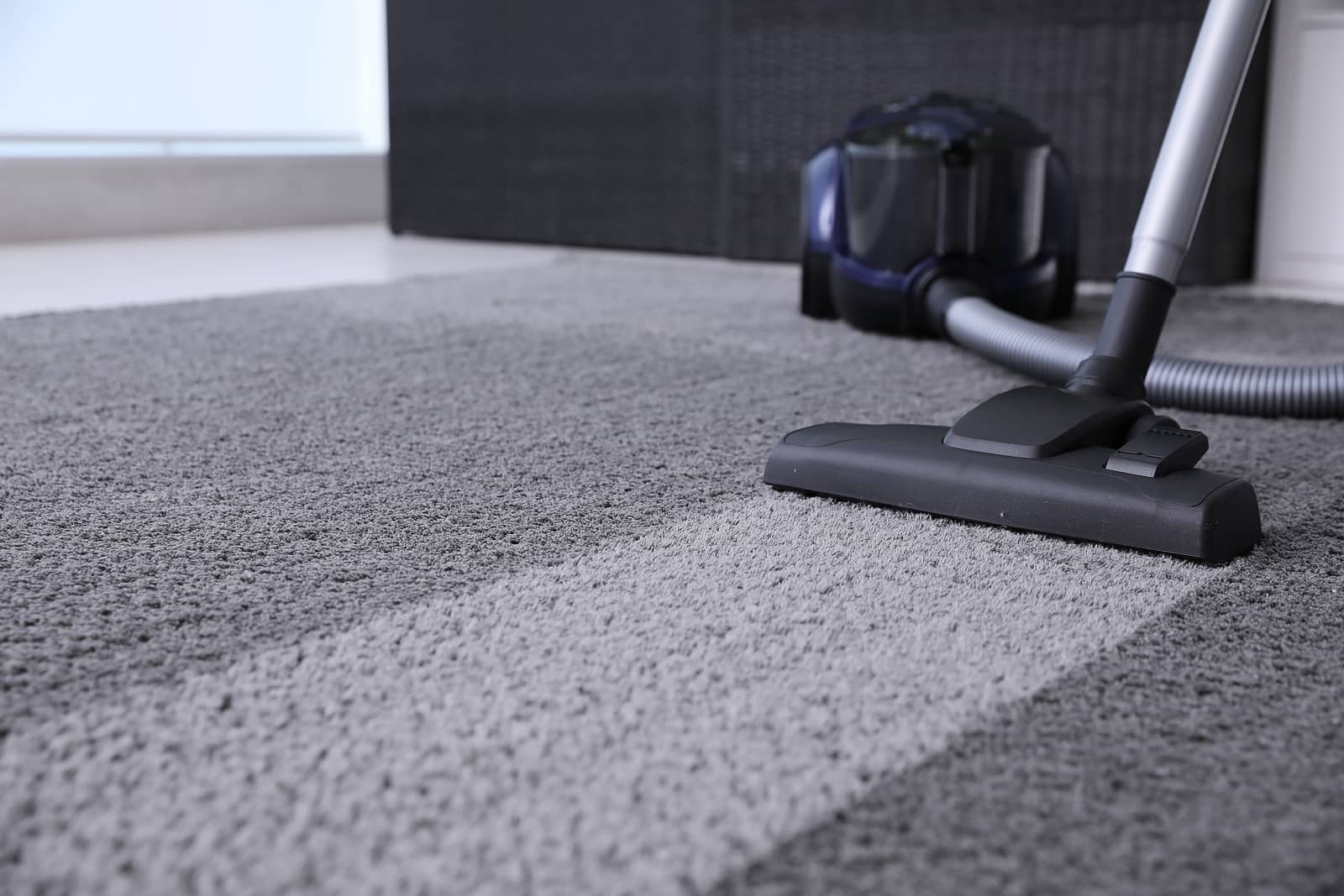 Carpet Cleaning Service